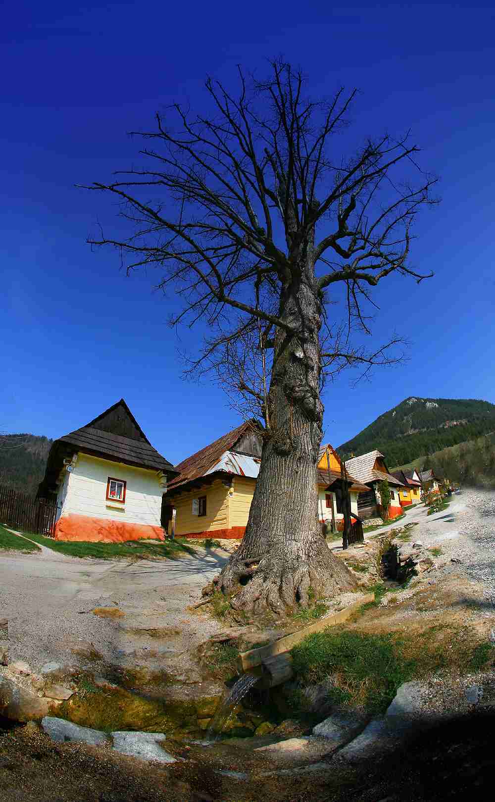 VLKOLINEC 2.JPG